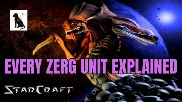 What are some pros and cons for the different Zerg and Protoss research options?