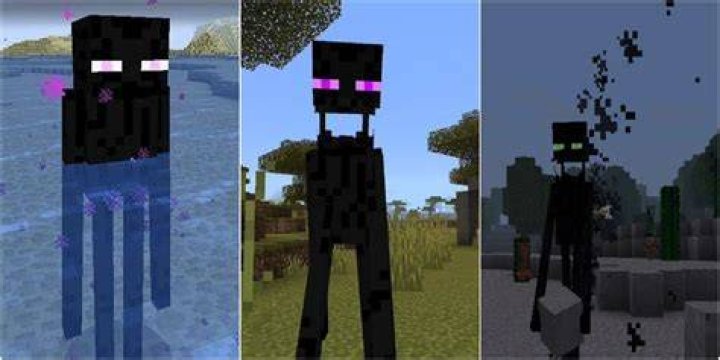 What are the Endermen?