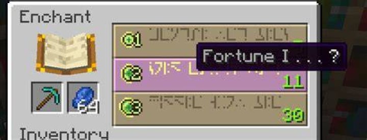 What blocks does the fortune enchant work on?