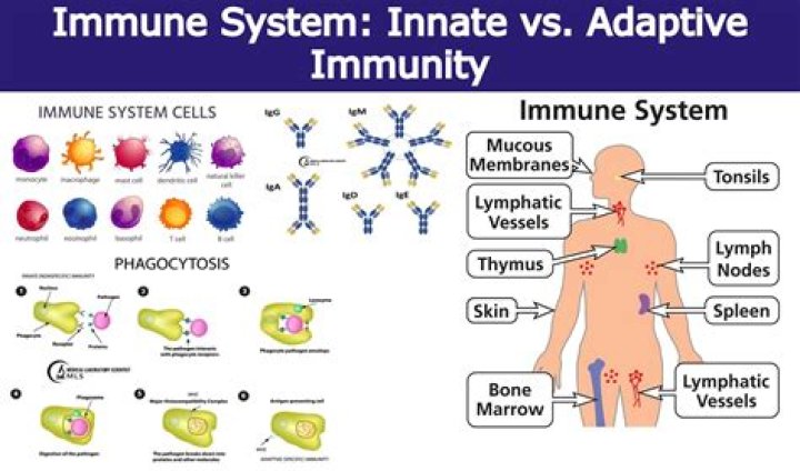 What can I do when an enemy becomes immune to both Physical and Magical?