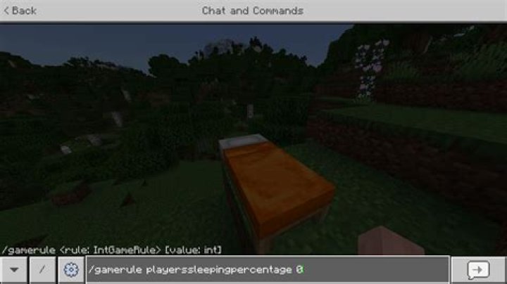 What command can let a player sleep in the morning?