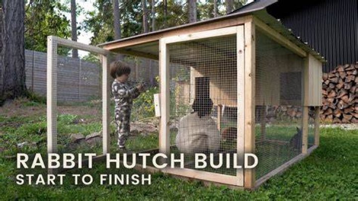 What do i do with rabbit hide