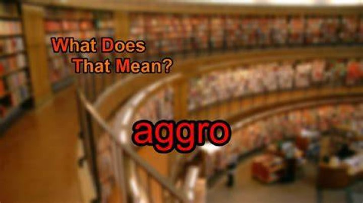 What does "Aggro" mean?
