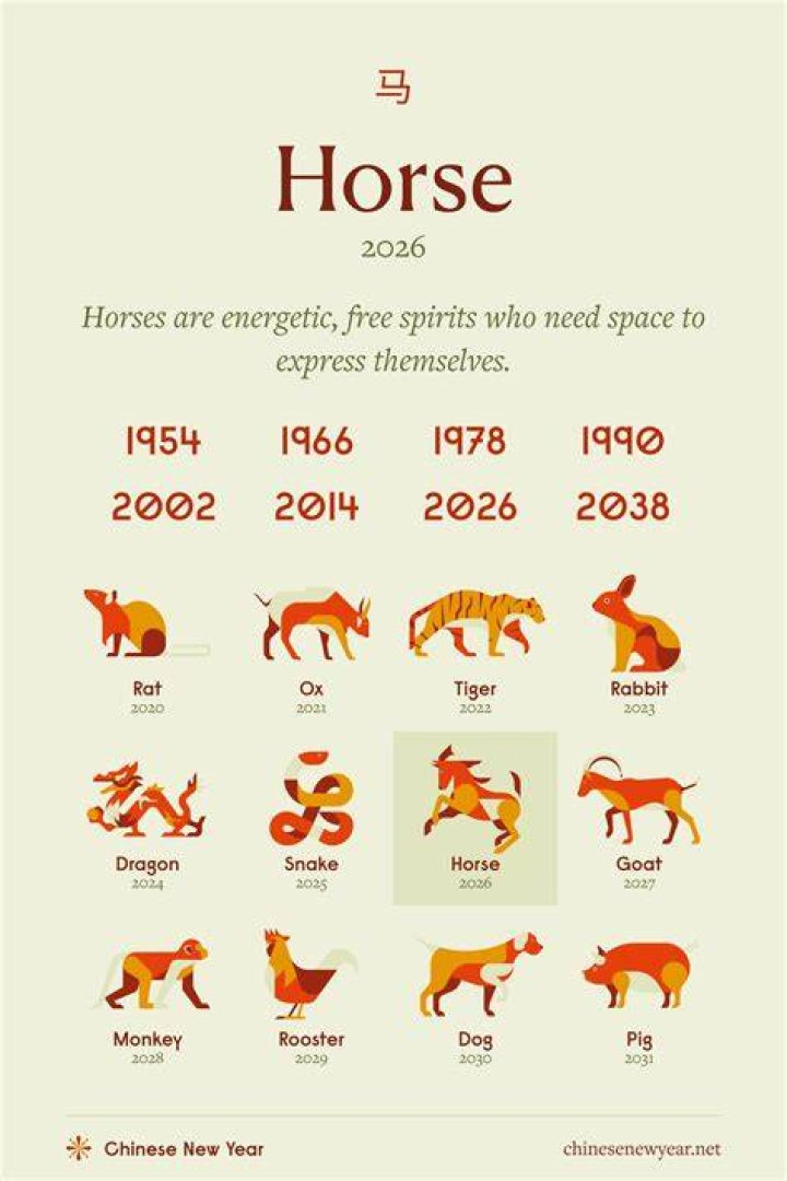 What does Horse Strength do?