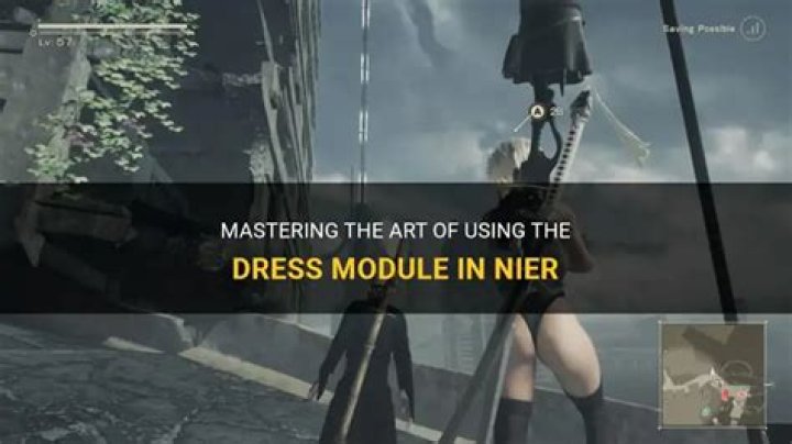 What does the Dress Module do?
