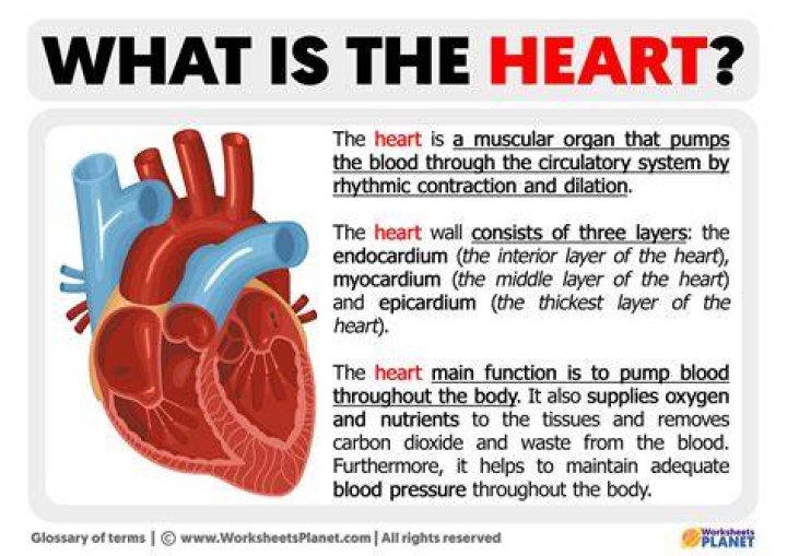 What Does the Heart In Gyms Mean?