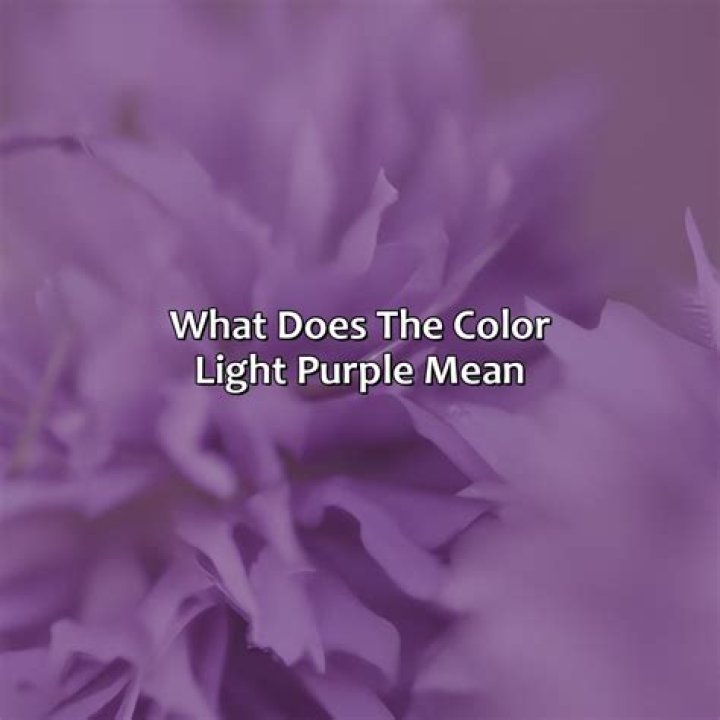 What does this light purple bar at the bottom of my screen mean?