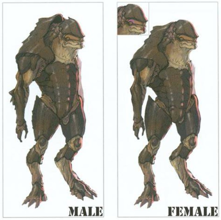 What happened to the Female Krogan?