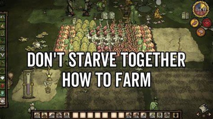 What happens to tree stumps in Don't Starve?