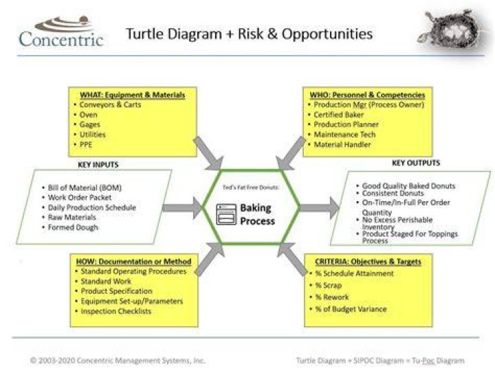 What is a Turtle Goal?