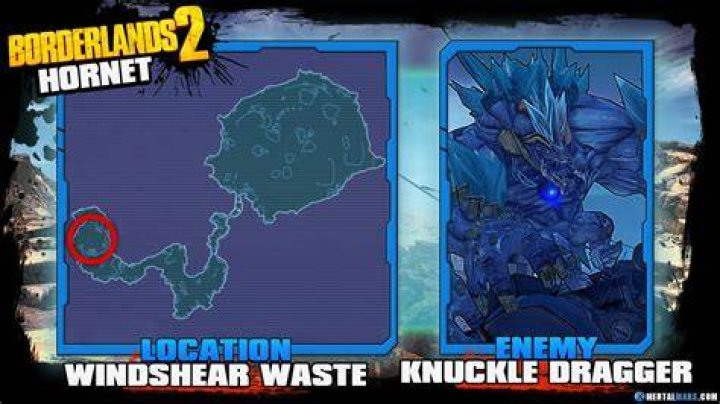What is the drop chance of the Hornet from Knuckle Dragger?