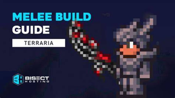 What is the optimal Melee build for Zero?