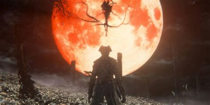 What is the range for co-op in Bloodborne?