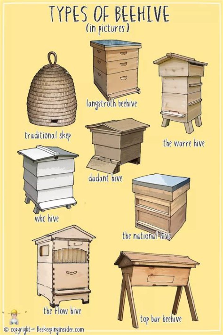 What is the spawn rate of beehives in the mobile version?