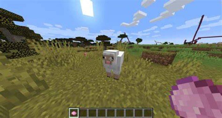 What sheep do you need to mate in order to try and get the rare pink sheep?