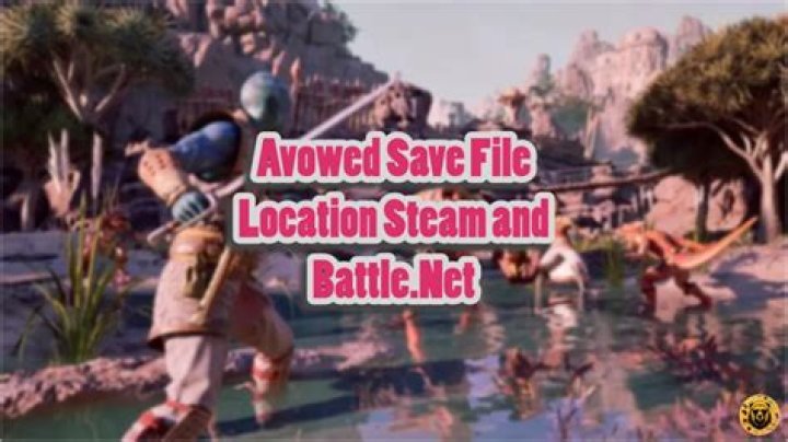 Where are the save files for the Steam edition of Assassins Creed II located?