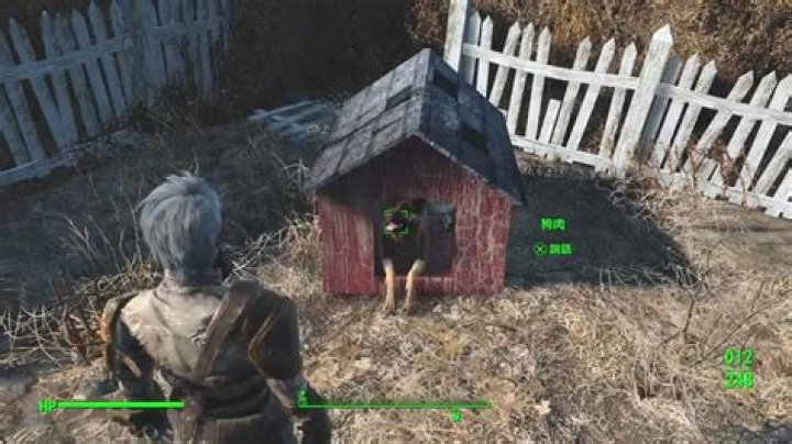 Where can I find Dogmeat after dismissing him to Sanctuary Hills?