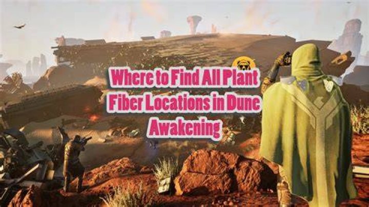 Where can I find plant fiber?