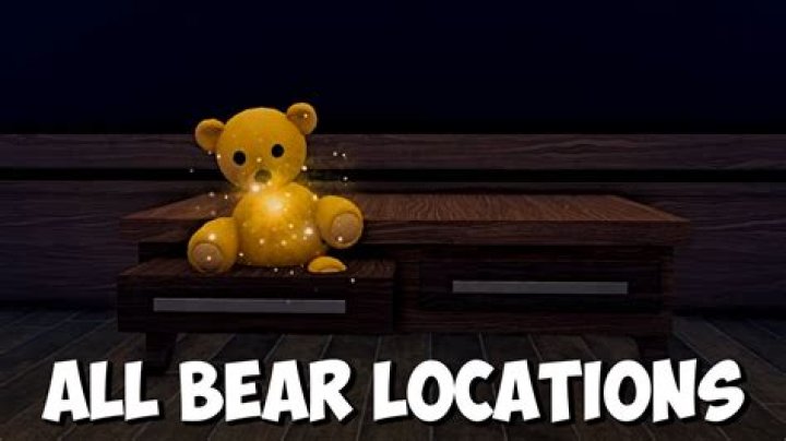 Where can I find the teddy bear?