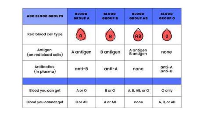Where to find blood orgy?