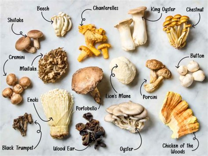 Which is more effective - three mushrooms at once or one at a time?