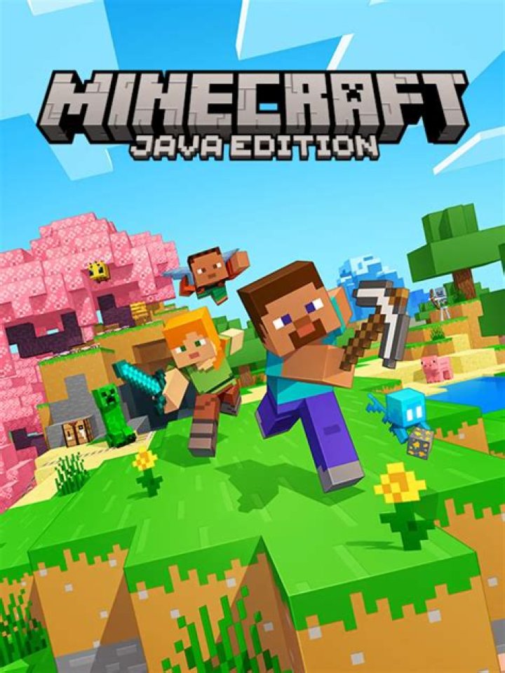 Why can’t I play Minecraft Java Edition anymore? [closed]