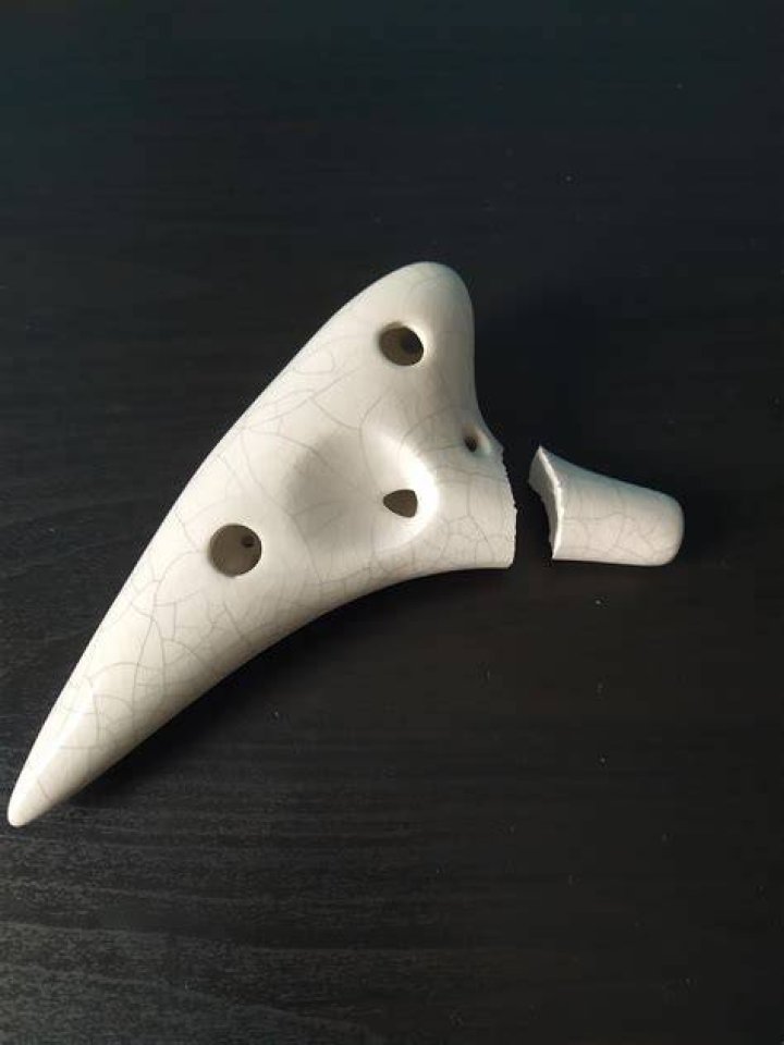 Why did my Ocarina disappear?