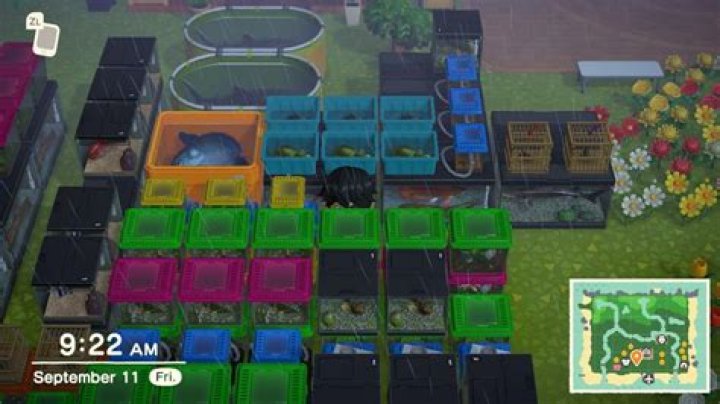 Why is an area of my animal crossing new horizon island lagging?