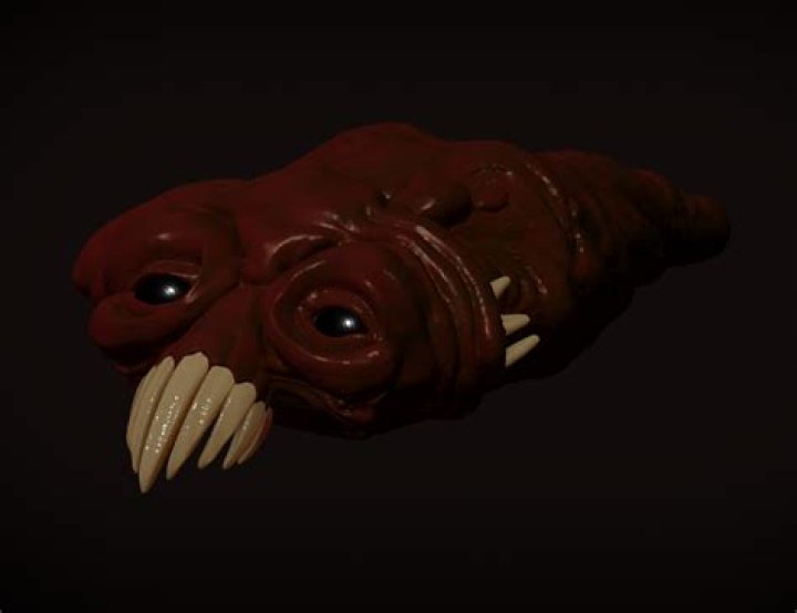 Wrinkler