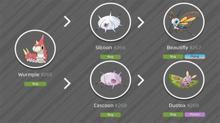 Wurmple Evolutions